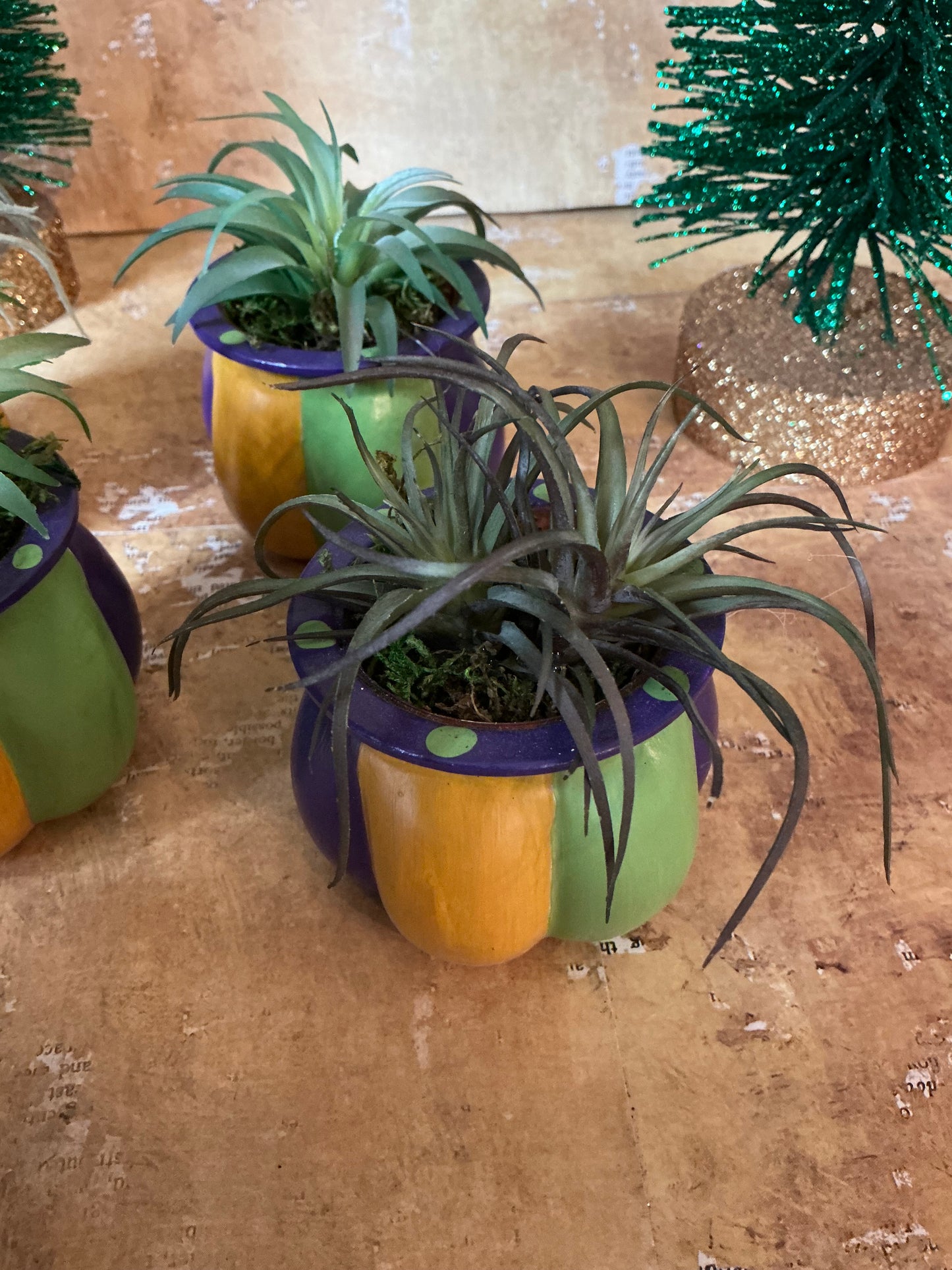 Mardi Gras Faux Potted Succulent