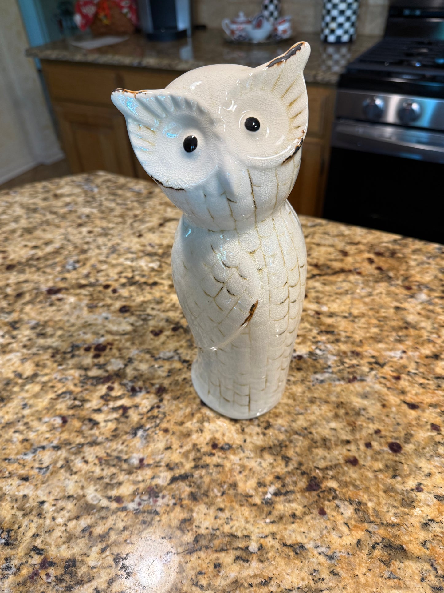 Owl Strut My Stuff