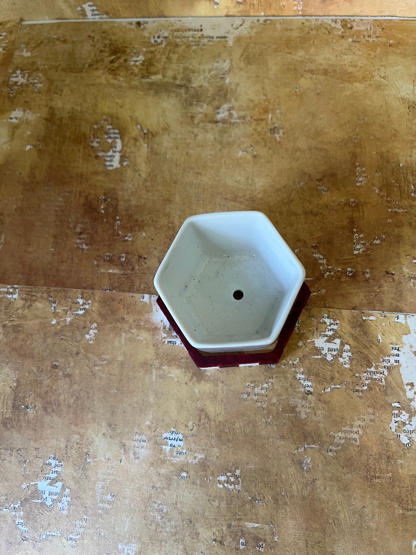 Ceramic Planter on Wood Base