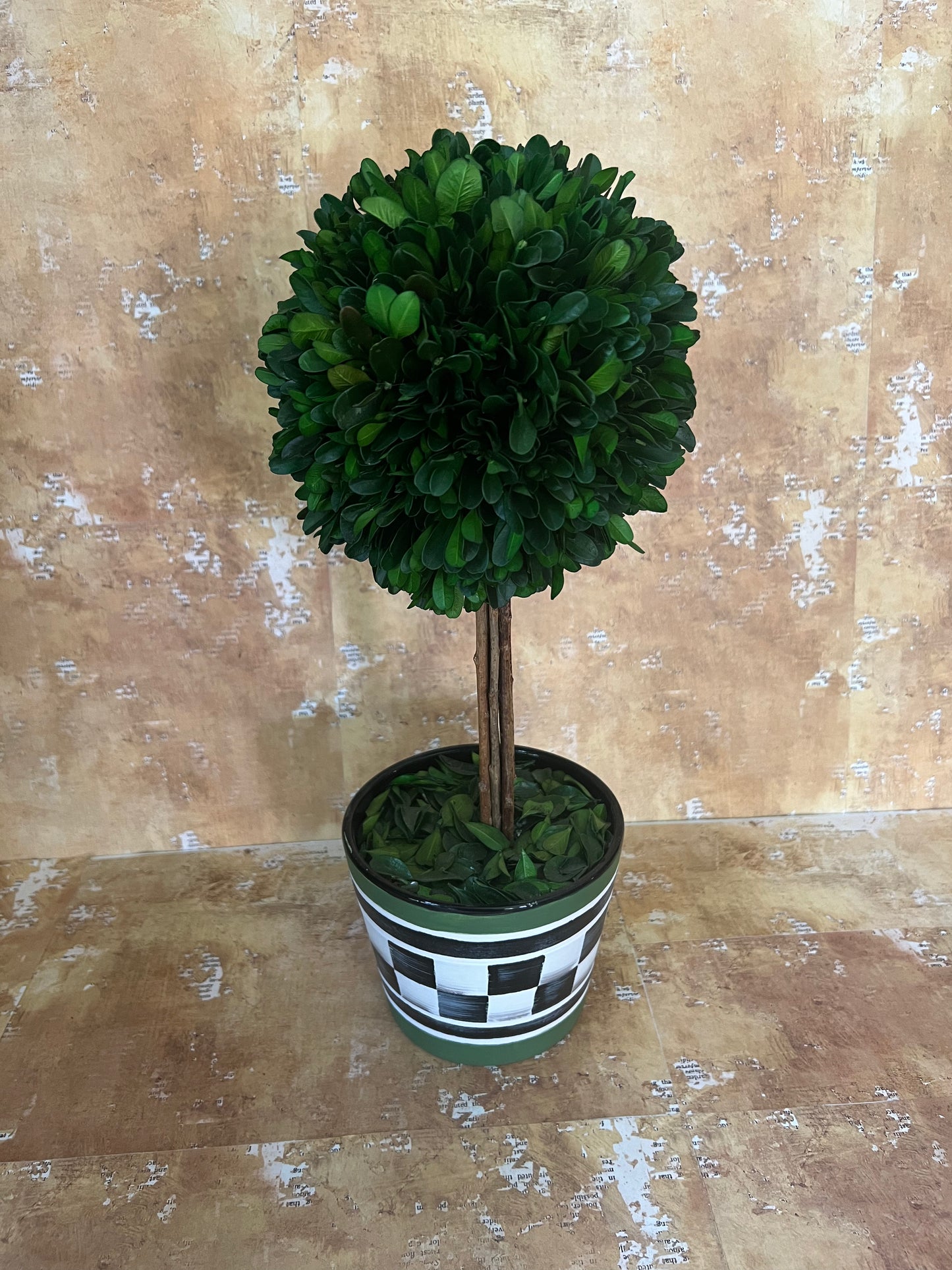 Faux Boxwood Topiary Trees in Hand Painted Ceramic Pots, Set of 2
