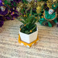 Mardi Gras Faux Succulents