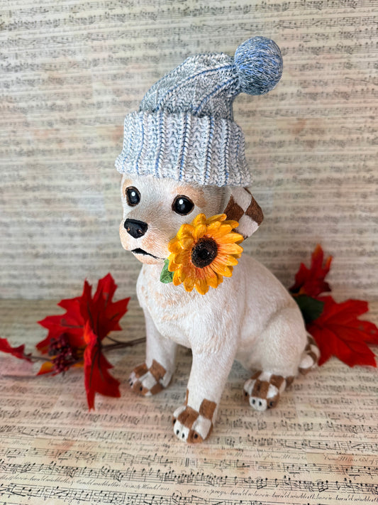 Daisy Dog