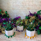 Mardi Gras Faux Succulents