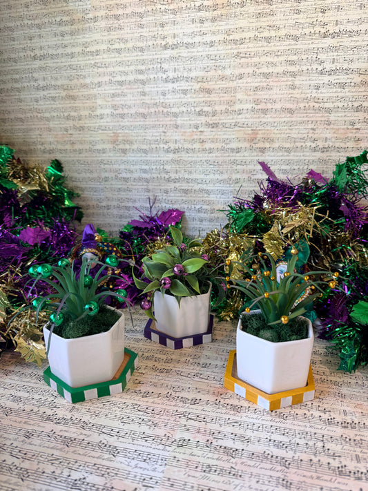 Mardi Gras Faux Succulents