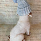 Hand Painted Daisy Dog