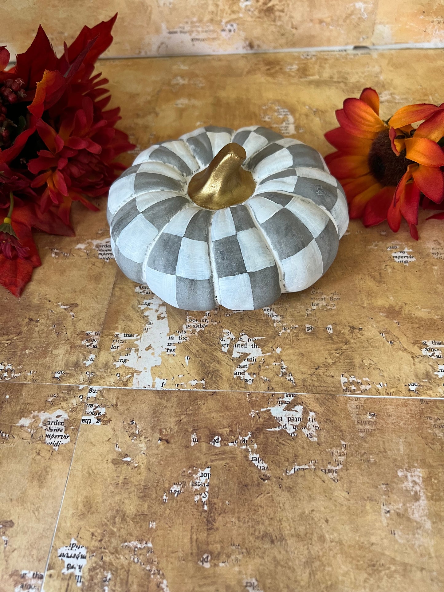 Gray and White Squashed Pumpkin