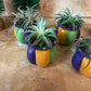 Mardi Gras Faux Potted Succulent