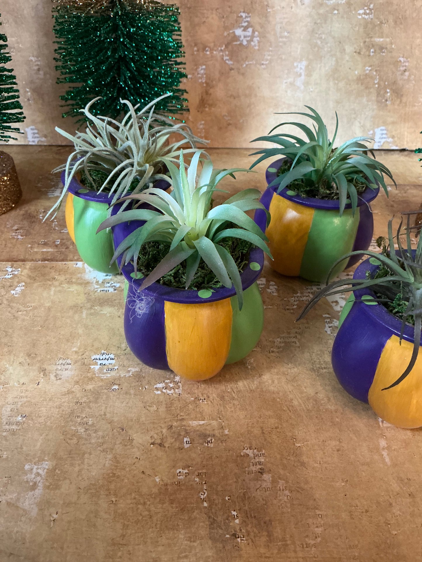 Mardi Gras Faux Potted Succulent