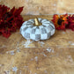 Gray and White Squashed Pumpkin