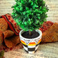 Hand Painted Faux Boxwood Topiary
