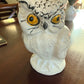Owl on Perch