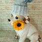 Hand Painted Daisy Dog