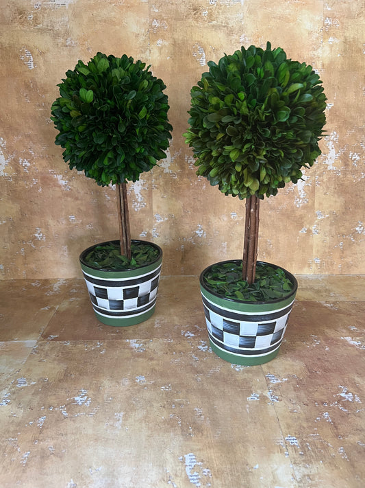 Faux Boxwood Topiary Trees in Hand Painted Ceramic Pots, Set of 2